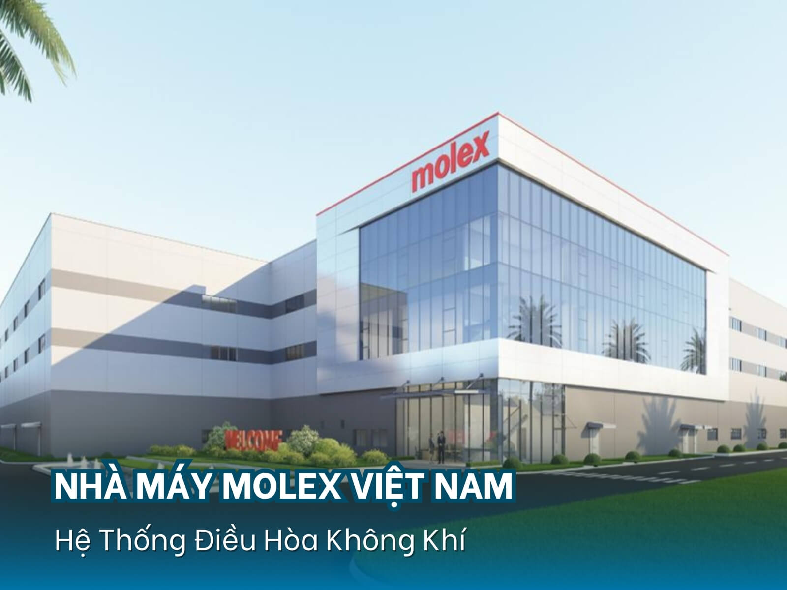 Nhà Máy Molex Việt Nam